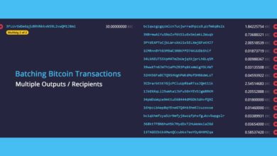 batch bitcoin transactions