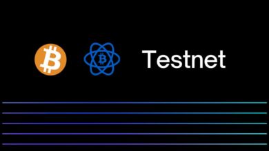 bitcoin testnet wallet