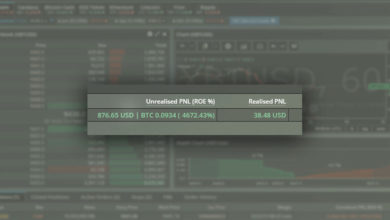 Bitmex PNL in USD