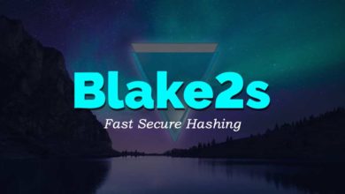 Blake2s algorithm coins