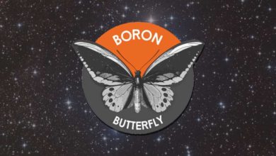Boron Butterfly