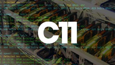 c11 algorithm and coins