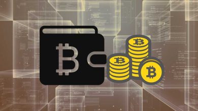 crypto currency wallet explained