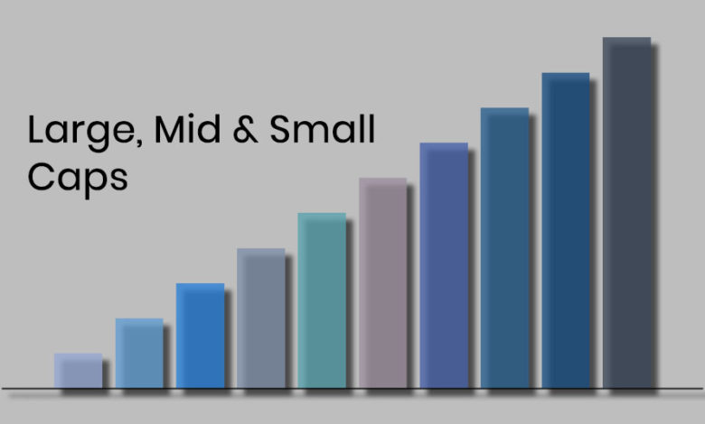 large cap, mid cap, small cap