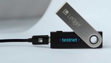 ledger testnet