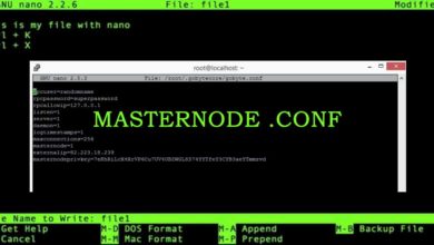 Masternode config file