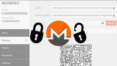 Monero balance locked