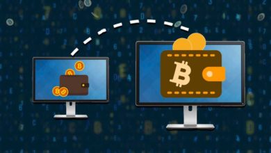 moving wallet to another computer