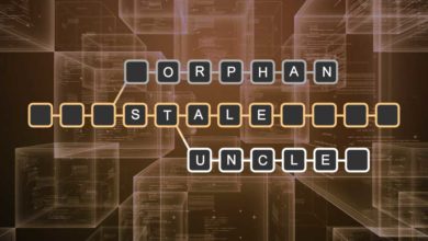 orphan, stale and uncle blocks