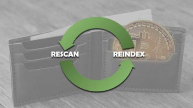 re-index and re-scan wallet