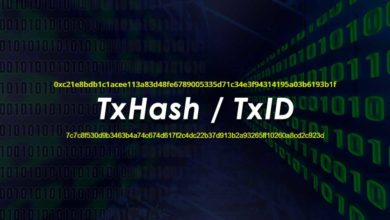 Transaction Hash ID