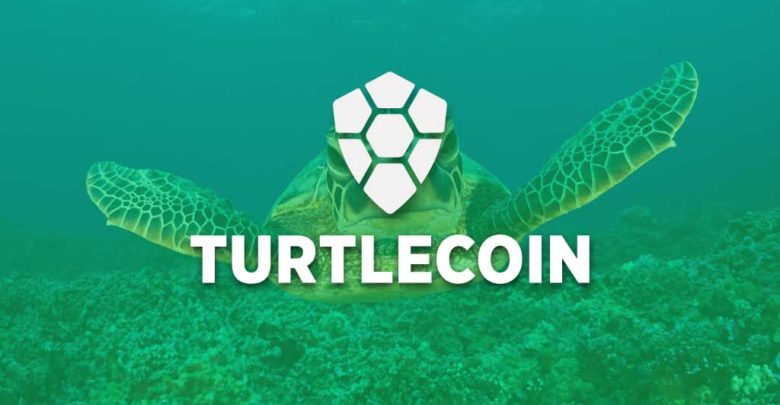 Turtle coin