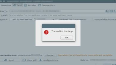 wallet error transaction large