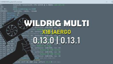 X18 WildRig Multi 0.13.1