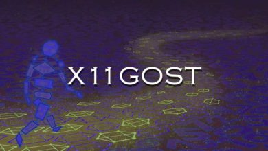 X11Gost