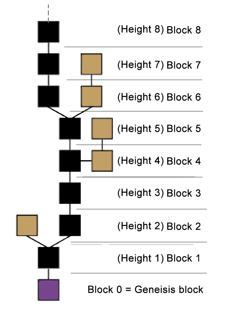 block chain height explained