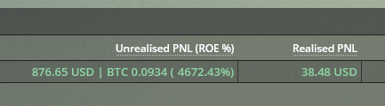 BitMEX pnl in USD