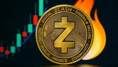zcash before christmas